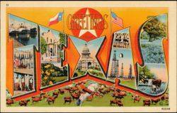 Greetings from Texas Large Letter Postcard