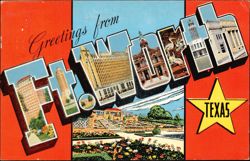 Greetings from Fort Worth, Texas Large Letter Postcard