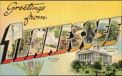 Greetings from Tennessee Large Letter State Capitol Iris Postcard