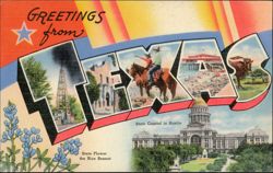 Greetings from Texas, Large Letter Scenes Postcard