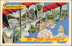 Greetings from West Virginia The State Beautiful Postcard