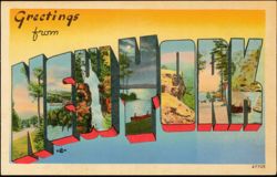 Greetings from New York Large Letter Postcard
