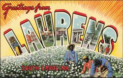 Greetings from Laurens Large Letter Cotton Pickers Postcard