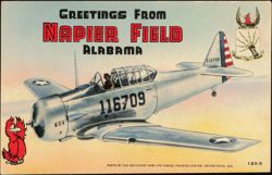 Greetings From Napier Field Alabama, Training Plane Postcard