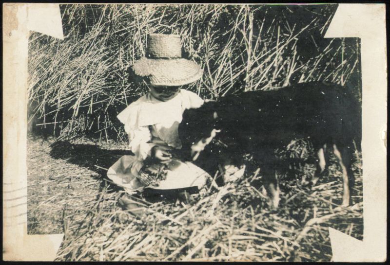 Child in Straw Hat with Goat in Field Goats
