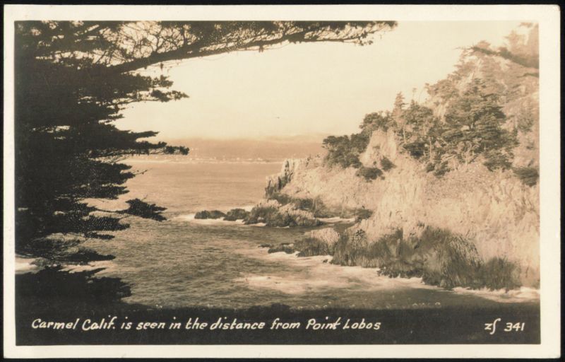 Carmel Calif. seen in distance from Point Lobos California