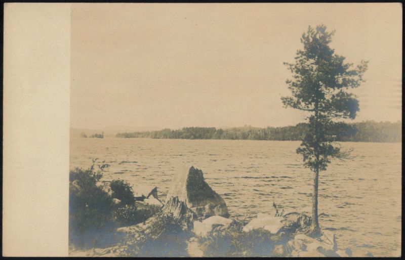 Lake View with Rocks and Tree Photographic Art