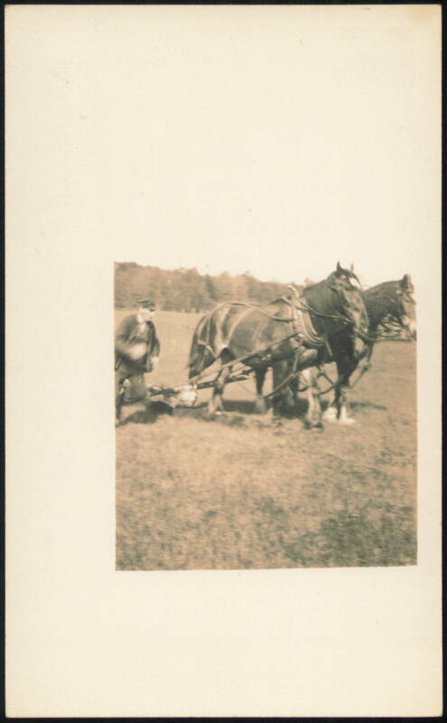 Man Plowing Field with Two Draft Horses Farming