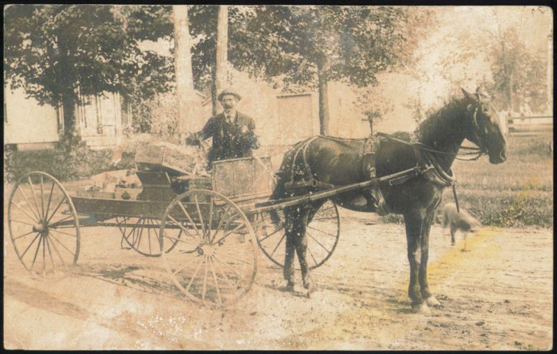 Man with Delivery Wagon, Horse, and Dog Horse-Drawn