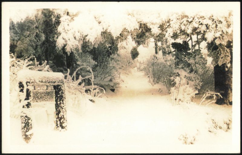 Winter in the Mountains Seasons