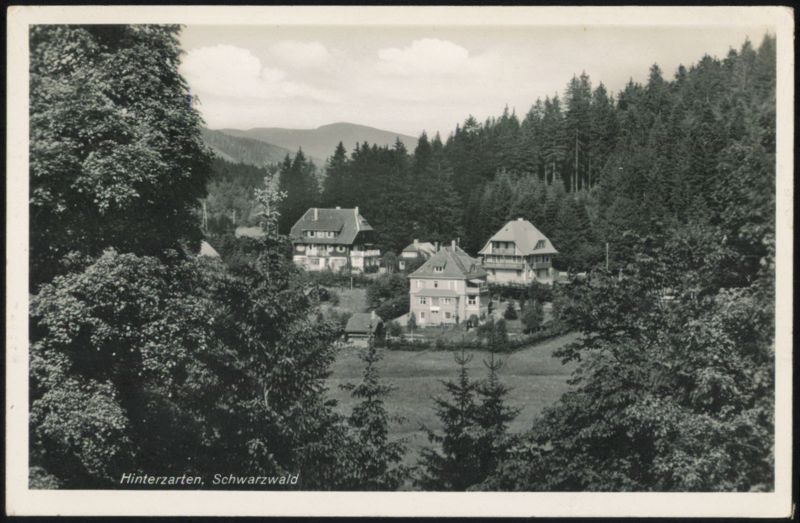 Hinterzarten, Schwarzwald - Houses in Forest Germany