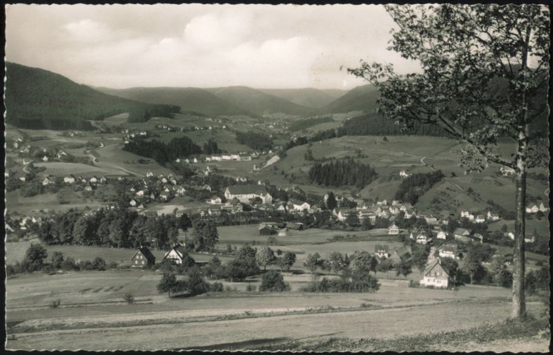 Baiersbronn Climatic Resort, Mitteltal Valley View Germany