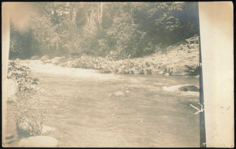 River Flowing Through Forest Landscapes