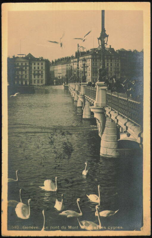 Mont Blanc Bridge and Swans Geneva Switzerland