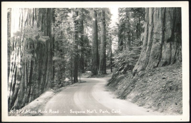 Moro Rock Road, Sequoia Nat'l. Park California