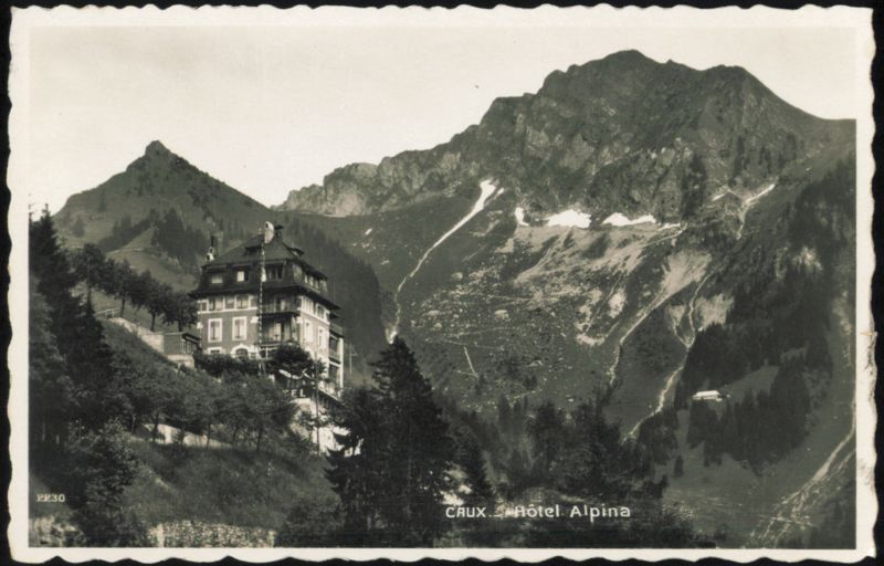 Hôtel Alpina Caux Switzerland