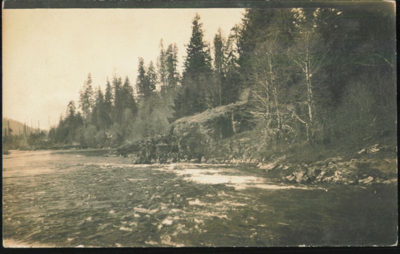 River with Rapids and Forested Banks Cottage Grove Oregon