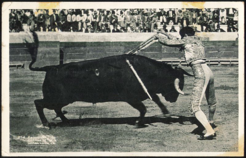 Bullfight Matador & Bull Guadalajara Mexico
