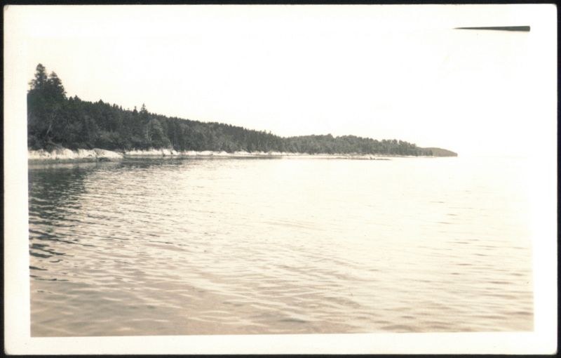 Wooded Shoreline View Landscapes