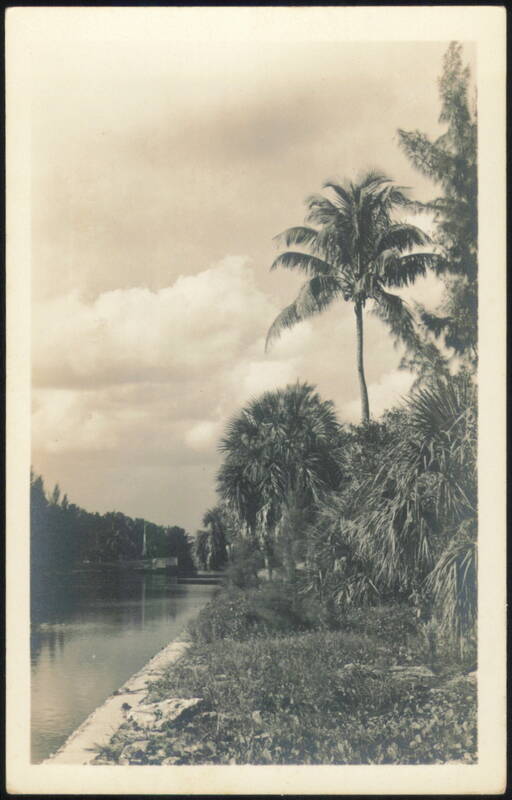 Tropical Canal with Palm Trees and Boat