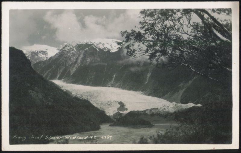 Franz Josef Glacier Westland New Zealand