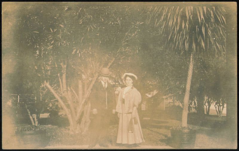 Man and Woman Posing Outdoors with Palm Tree Couples