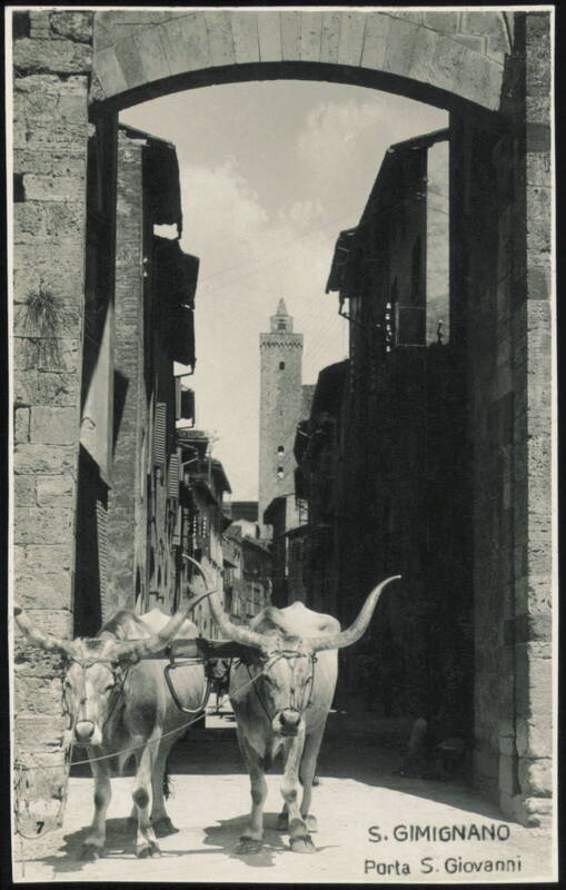 S. GIMIGNANO Porta S. Giovanni with Oxen San Gimignano Italy