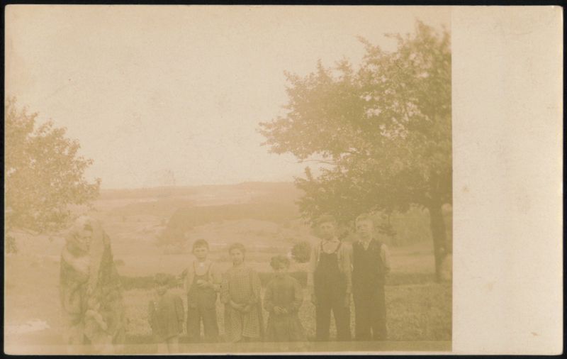 Group of Children Outdoors with Trees and Valley