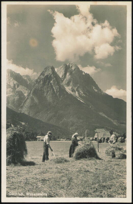 Haymaking in Garmisch with Waxensteine Mountains Germany