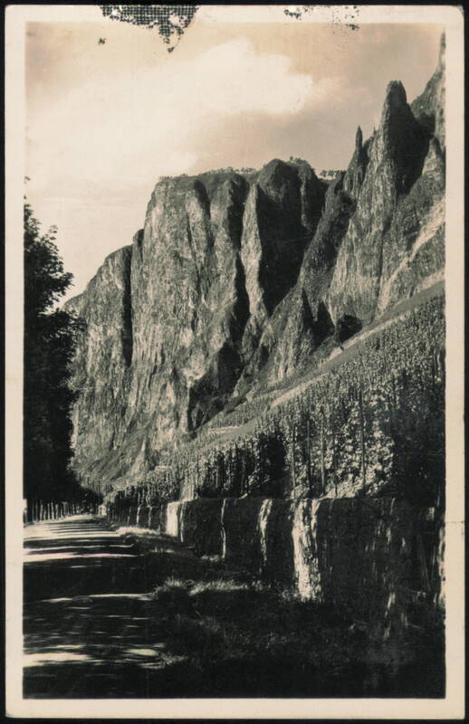 Mountainous Landscape with Terraced Vineyards & Road Bad Kreuznach Germany