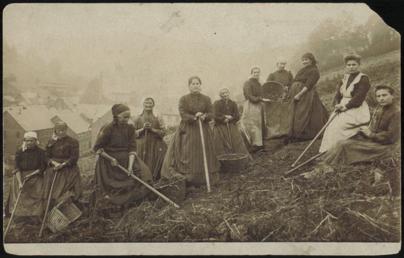 Group of Women Field Workers with Hoes and Baskets