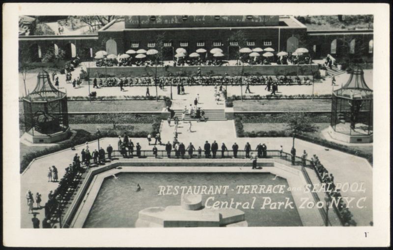 Restaurant Terrace and Seal Pool New York