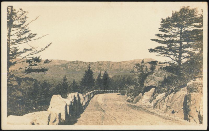 Dirt Road Through Mountains Acadia National Park