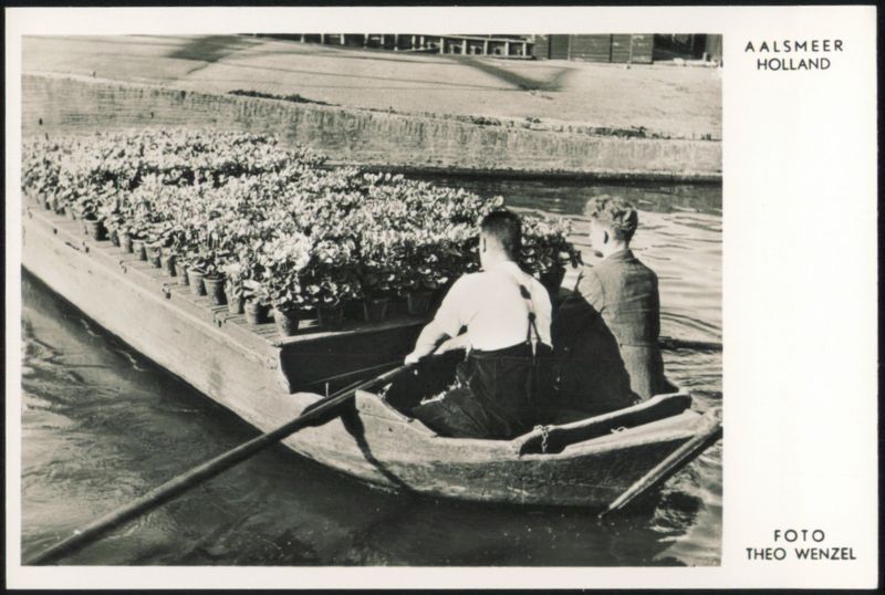 Flower Transport by Boat, Aalsmeer Netherlands Theo Wenzel