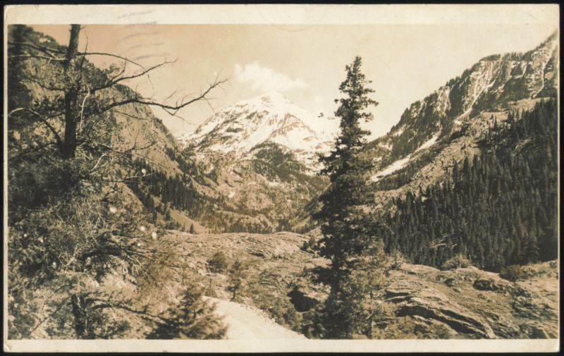Snow-capped Mountains, Evergreen Trees Gilliam Colorado