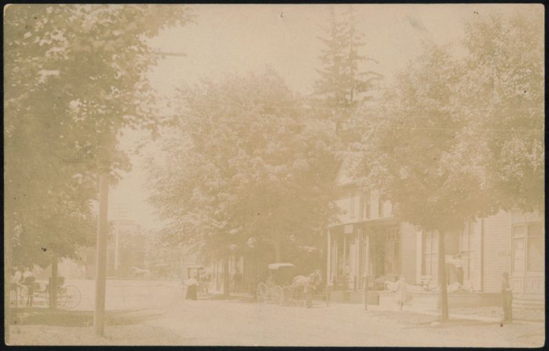 Tree-Lined Street with Horse-Drawn Carriages