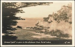 Carmel Calif. seen in distance from Point Lobos Postcard