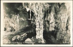 The First Spring, Carlsbad Cavern Postcard