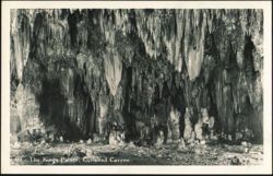 The Kings Palace, Carlsbad Cavern Postcard