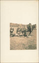 Man Plowing Field with Two Draft Horses Postcard