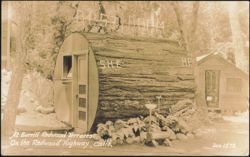 Redwood Log Rest Room, Burrill Redwood Terraces Postcard
