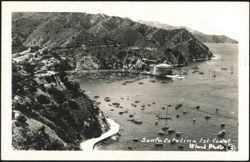 Santa Catalina Island Coast Postcard