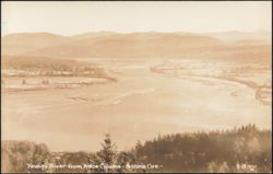 Young's River from Astor Column Postcard