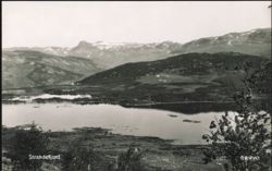 Strandefjord, Grøvo Postcard