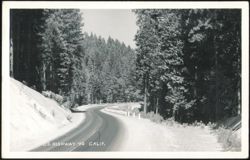U.S. Highway 40, Winding Road through Forest Postcard