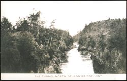 The Tunnel North of Iron Bridge Postcard