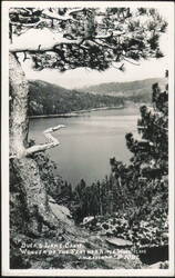 Buck's Lake, Feather River Wonderland Postcard