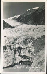 Franz Josef Glacier Showing Terminal Face Postcard