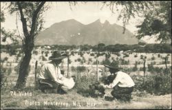 Two Men with Bird & Dog, Monterrey Mountains Postcard