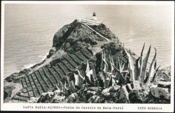 Ponta do Castelo da Maia Lighthouse Postcard